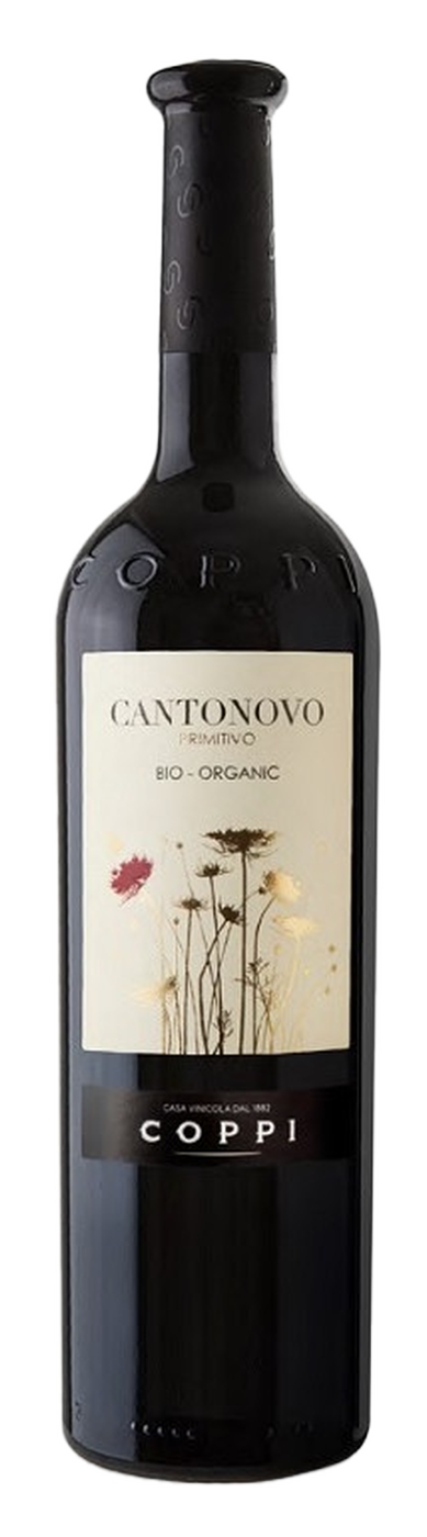CANTONOVO 2019 - Primitivo BIOLOGICO IGP Puglia