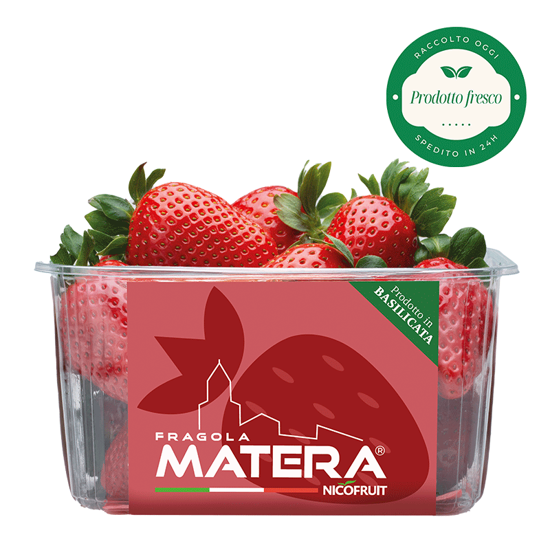 Fragole Matera®. - cestino da 400 gr.