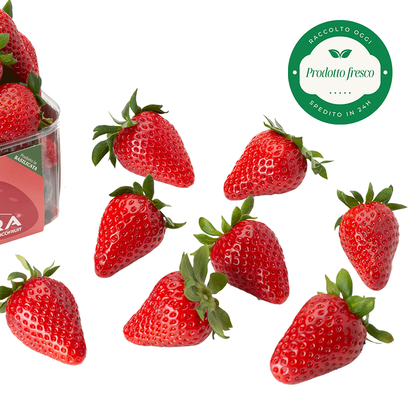 Fragole Matera®. - cestino da 400 gr.