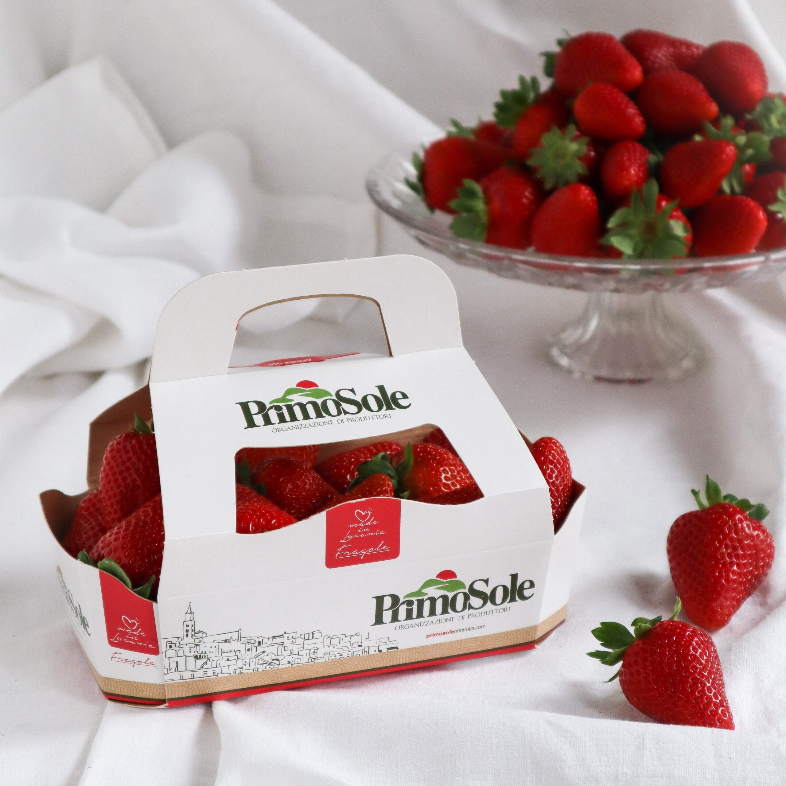 Fragole made in Lucania - FoodBag - 500 gr.