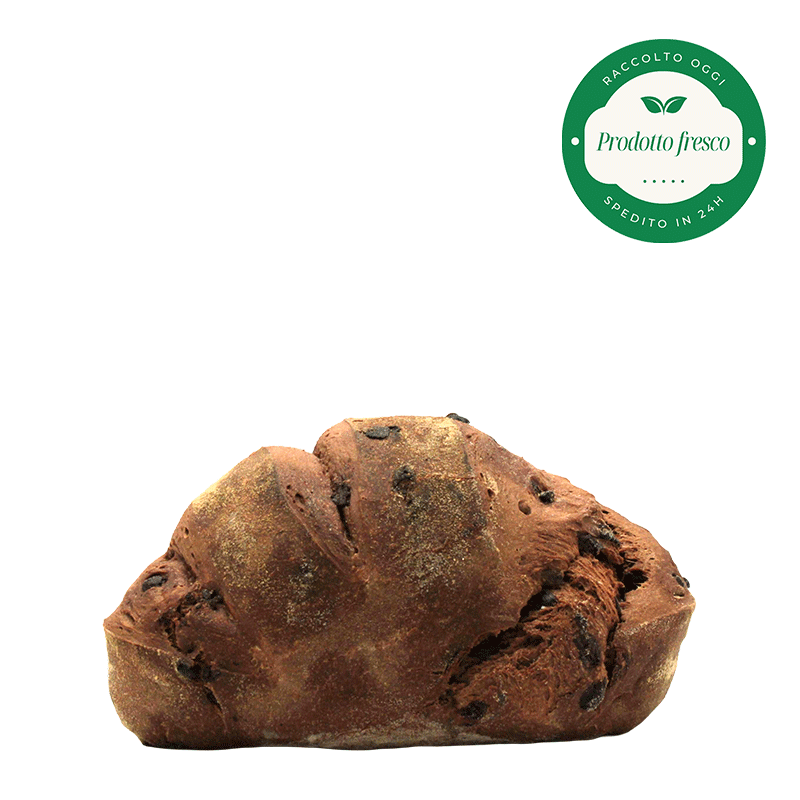 Pane Artigianale al Cioccolato e Gocce di Cioccolato di Altamura - 500 gr.