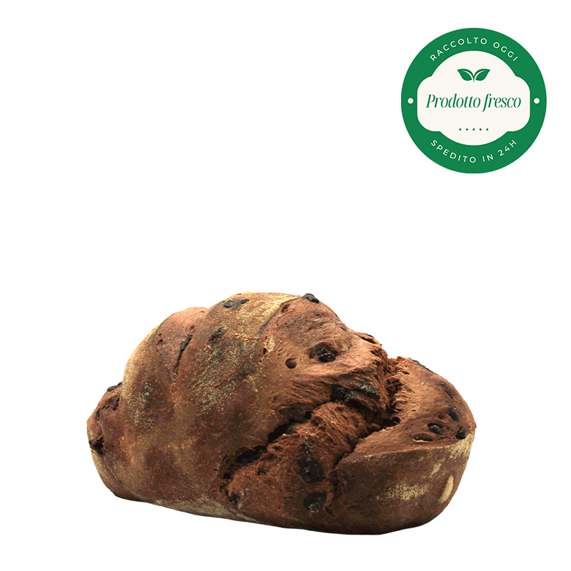 Pane Artigianale al Cioccolato e Gocce di Cioccolato di Altamura - 500 gr.