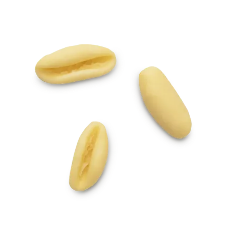 Cavatellini - 500 gr.