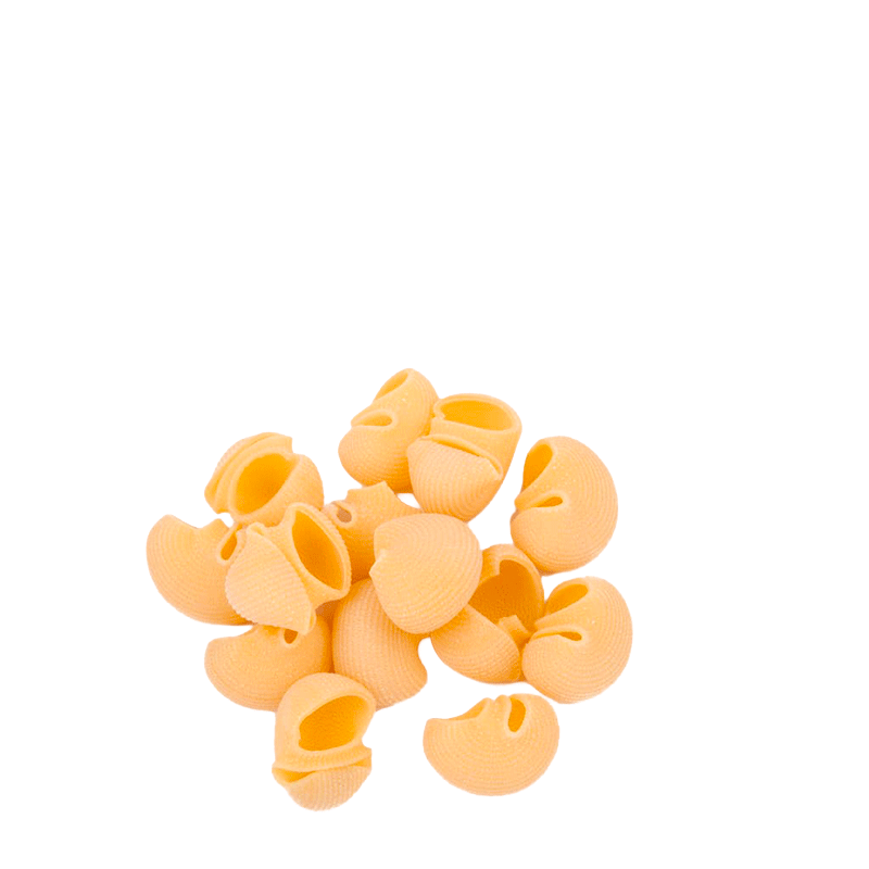 Conchiglioni  - Trafilata al bronzo - 500 gr.