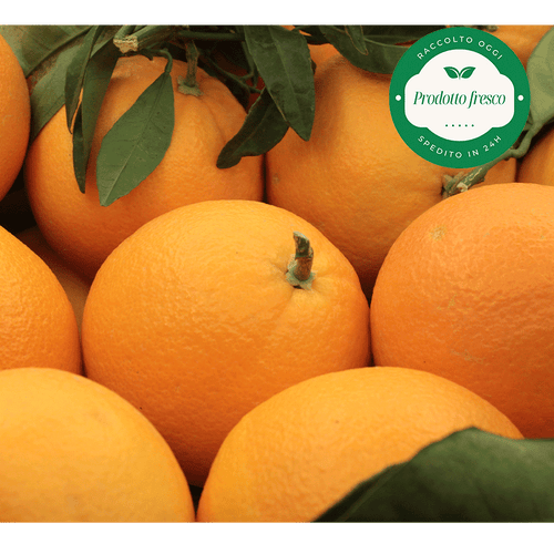 Arance Navel del Metapontino - Bauletto da Kg. 10/11 circa