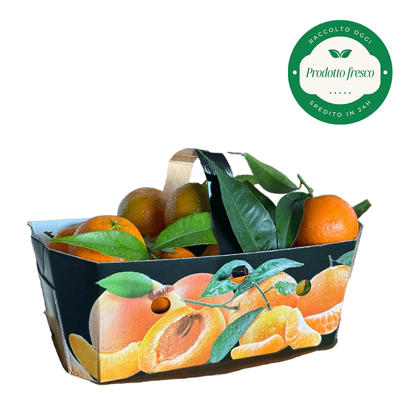 Clementine del Metapontino - Cestino da Kg. 2,5 circa