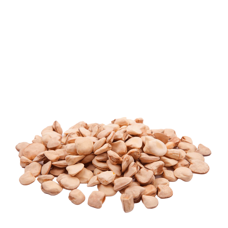 Cicerchie - 500 gr.