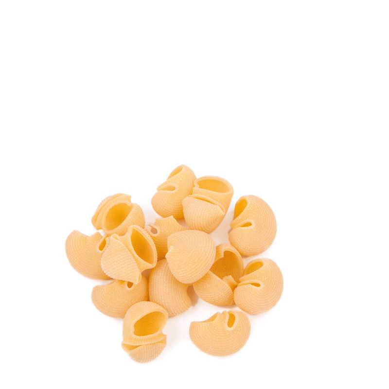 Conchiglioni  - Trafilata al bronzo - 500 gr.