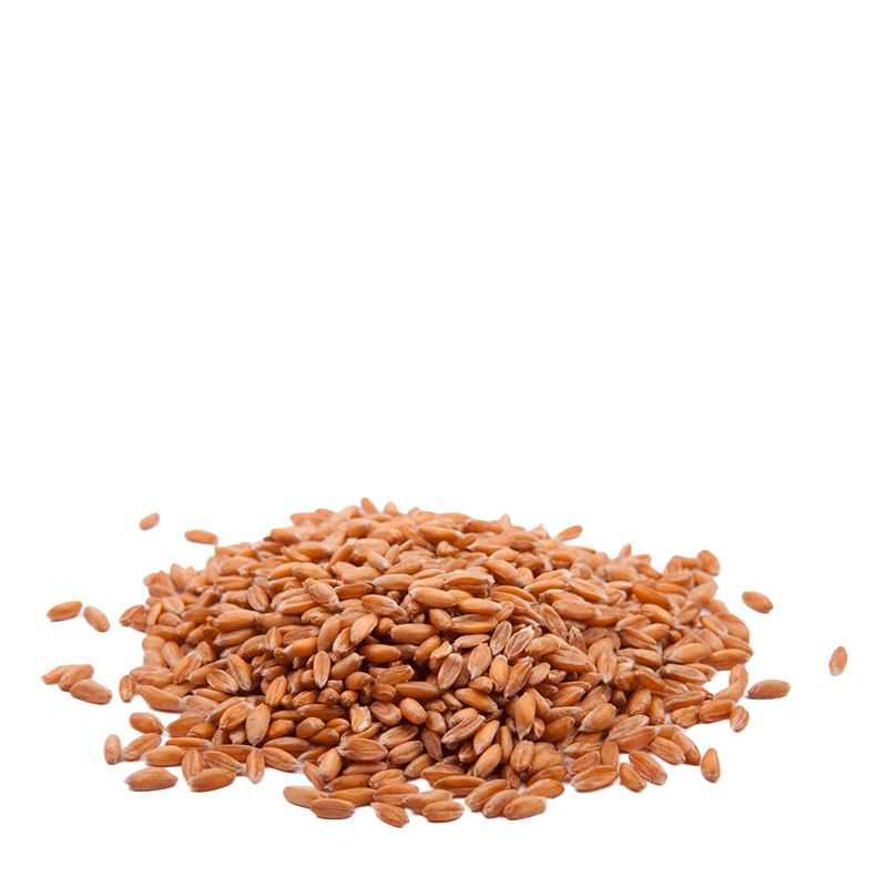 Farro Perlato - 500 gr.