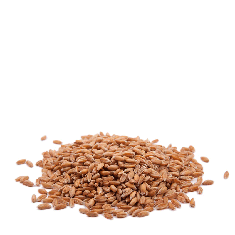 Farro Perlato - 500 gr.