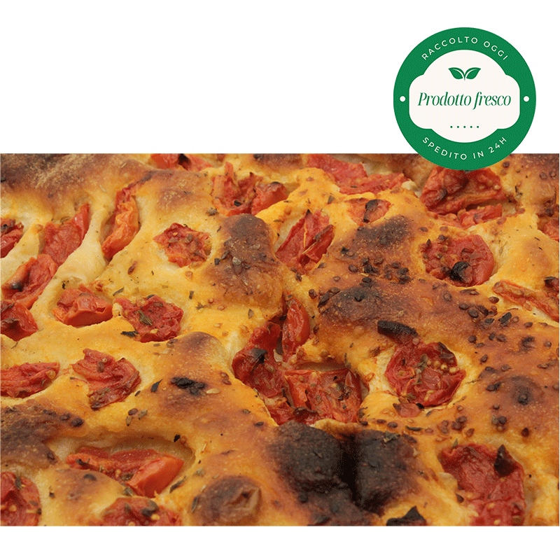 Focaccia al pomodoro di Laterza - Prodotto Artigianale - 1 Kg.