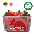 Fragola Matera® - Fragola della Basilicata IGP. - cestino da 400 gr.