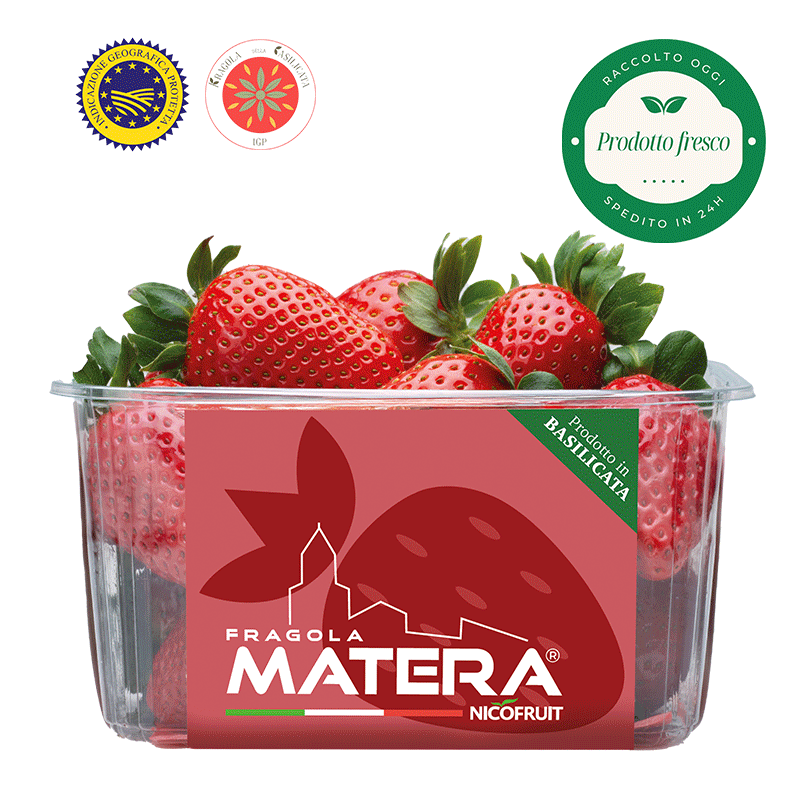 Fragola Matera® - Fragola della Basilicata IGP. - cestino da 400 gr.