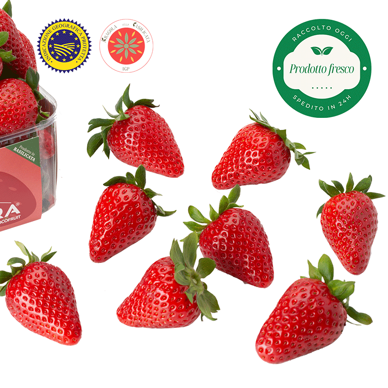 Fragola Matera® - Fragola della Basilicata IGP. - cestino da 400 gr.
