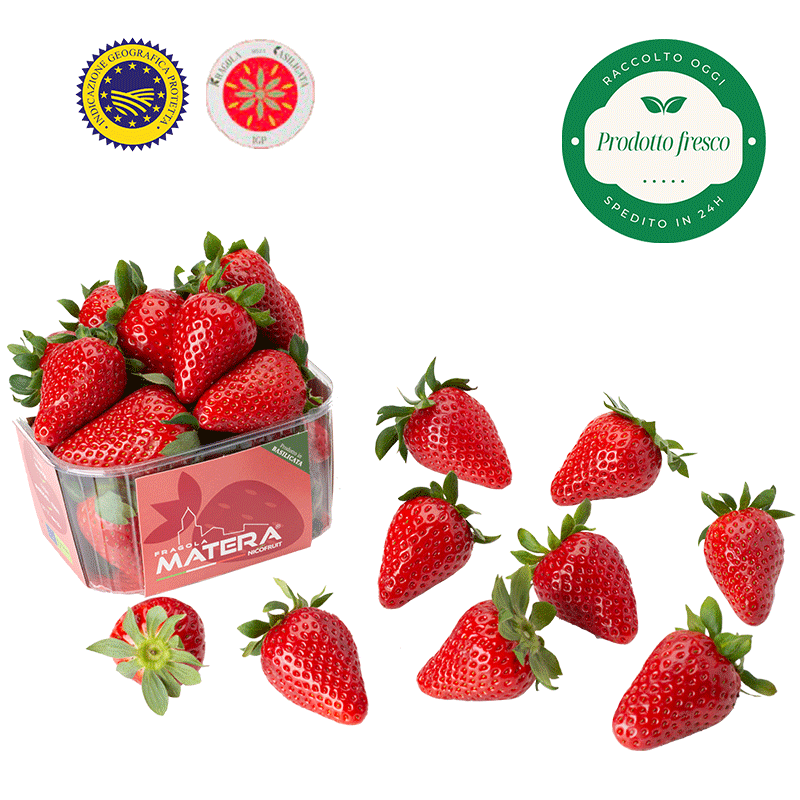 Fragola Matera® - Fragola della Basilicata IGP. - cestino da 400 gr.