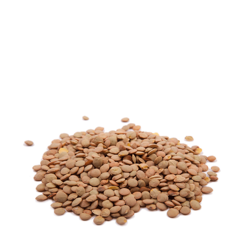 Lenticchie Grandi di Puglia - 500 gr.