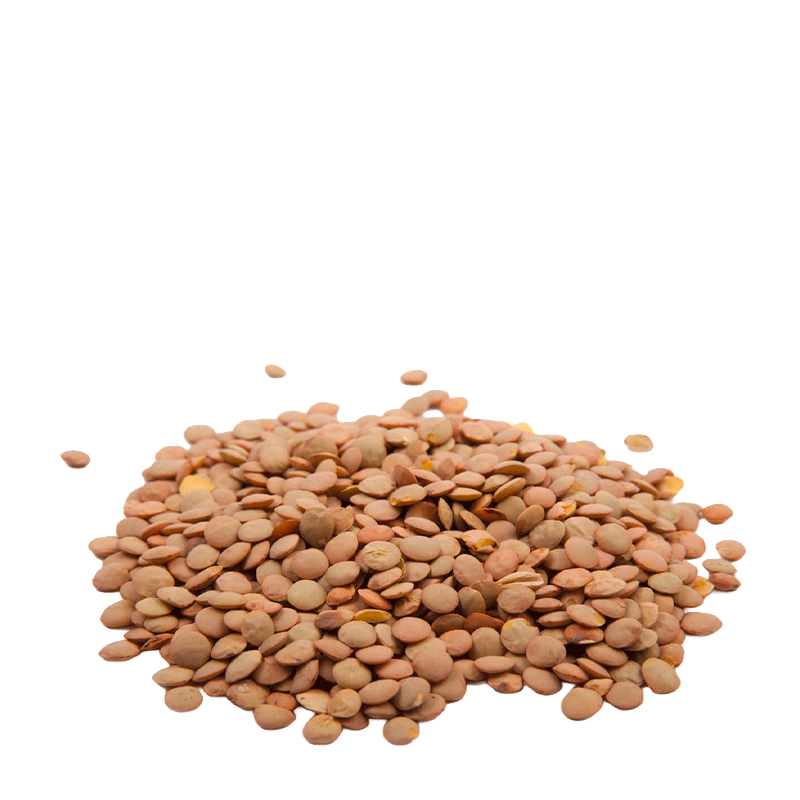 Lenticchie Grandi di Puglia - 500 gr.