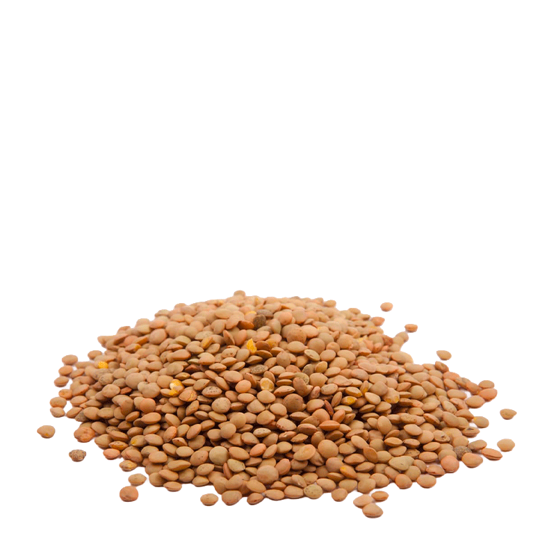 Lenticchie Piccole di Puglia - 500 gr.