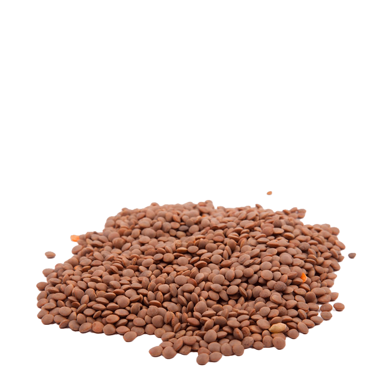 Lenticchie Rosse di Puglia - 500 gr.