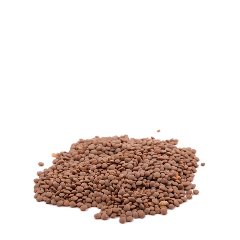 Lenticchie Rosse di Puglia - 500 gr.