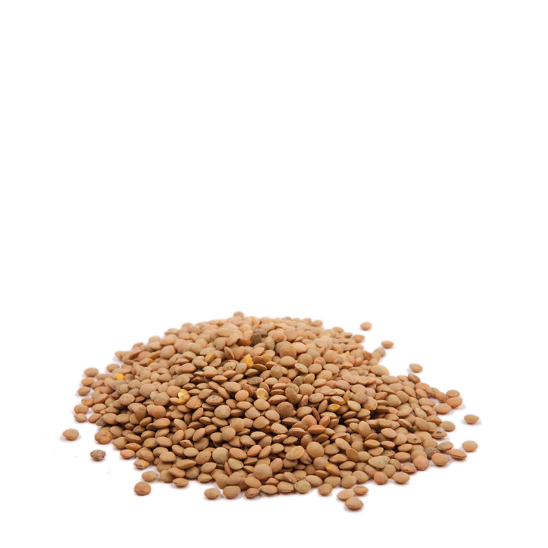 Lenticchie Piccole di Puglia - 500 gr.