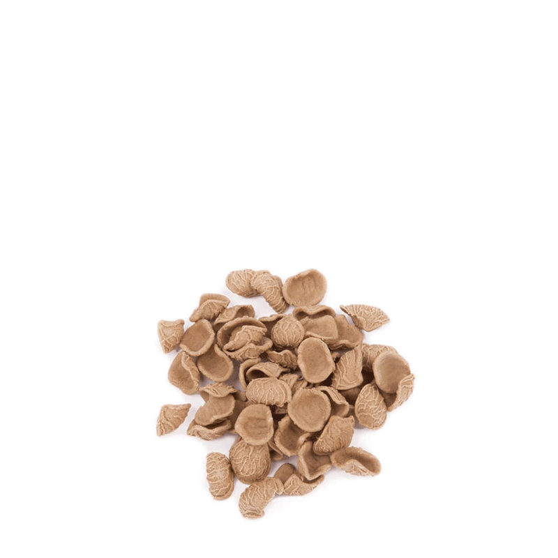 Orecchiette di grano Arso - 500 gr.