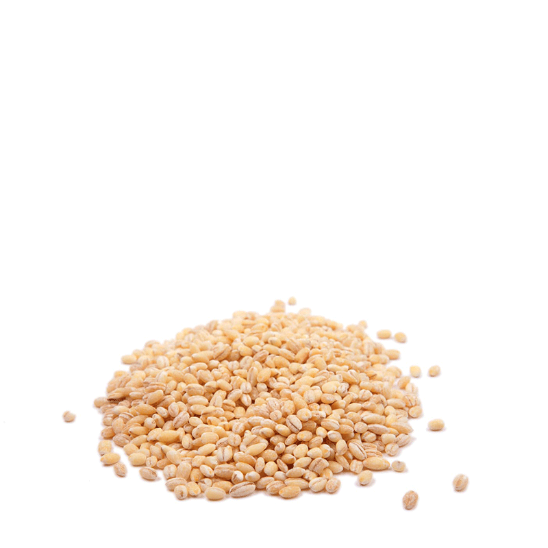 Orzo Perlato - 500 gr.