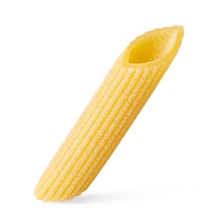 Penne rigate - Trafilata al Bronzo - 500 gr.