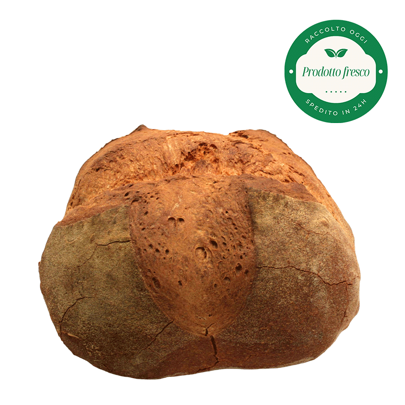 Pane di Grano Duro Artigianale  -  Forma Bassa - Kg.1