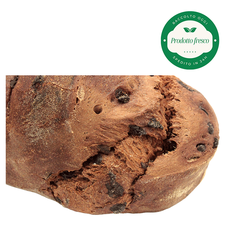 Pane Artigianale al Cioccolato e Gocce di Cioccolato  di Altamura - 500 gr.