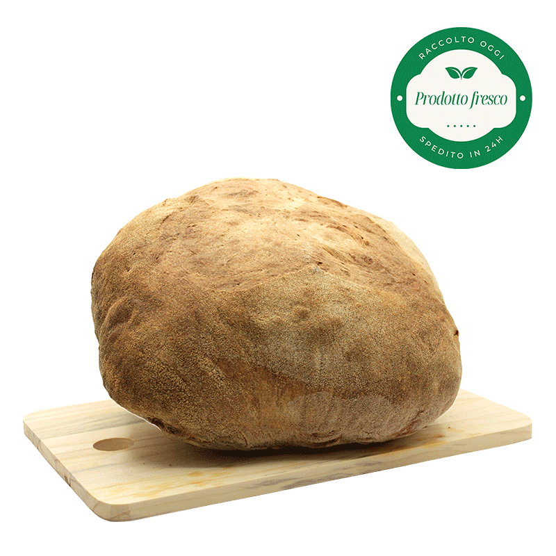 Pane di Laterza - Prodotto Artigianale - 1 Kg.
