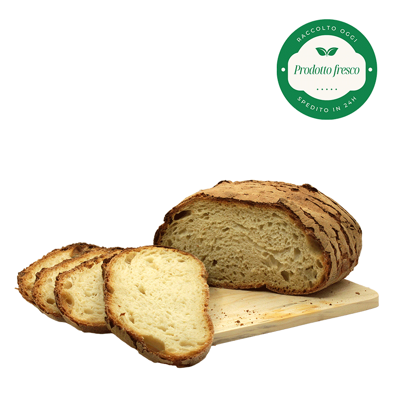 Pane di Laterza - Prodotto Artigianale - 1 Kg.