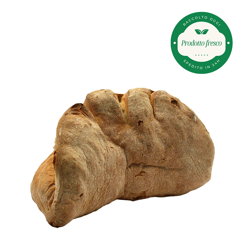 Pane tradizionale di Matera di Semola rimacinata di grano Duro Lucano - 500 gr.