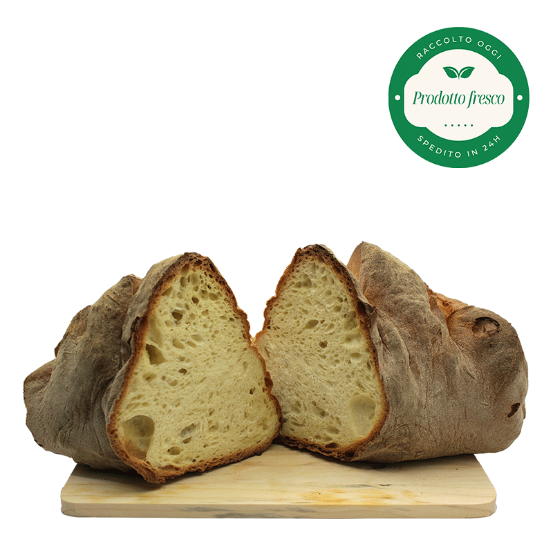 Pane tradizionale di Matera di Semola rimacinata di grano Duro Lucano - 1 Kg.