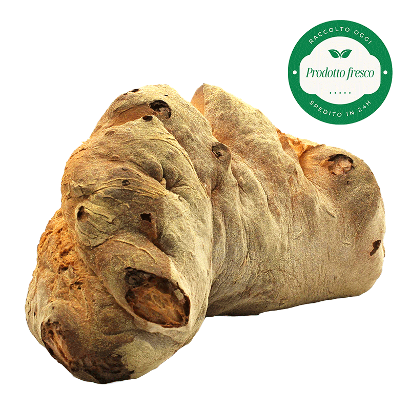 Pane tradizionale di Matera di Semola rimacinata di grano Duro Lucano - 1 Kg.