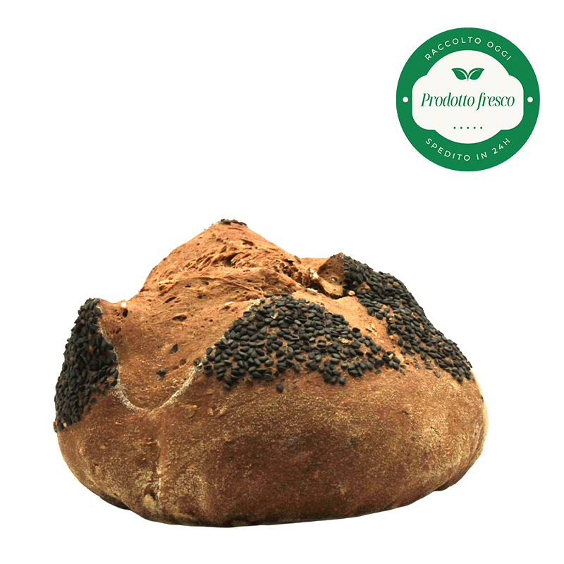 Pane Artigianale di Segale di Altamura - 500 gr.