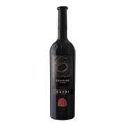 SENATORE 2017 - Primitivo DOC Gioia del Colle