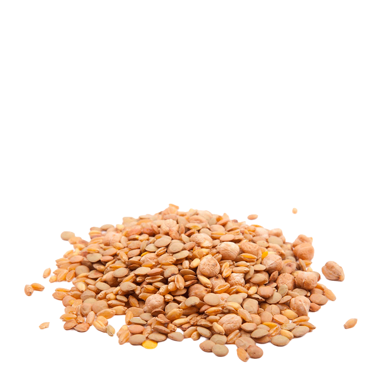 Zuppa Rustica - 500 gr.