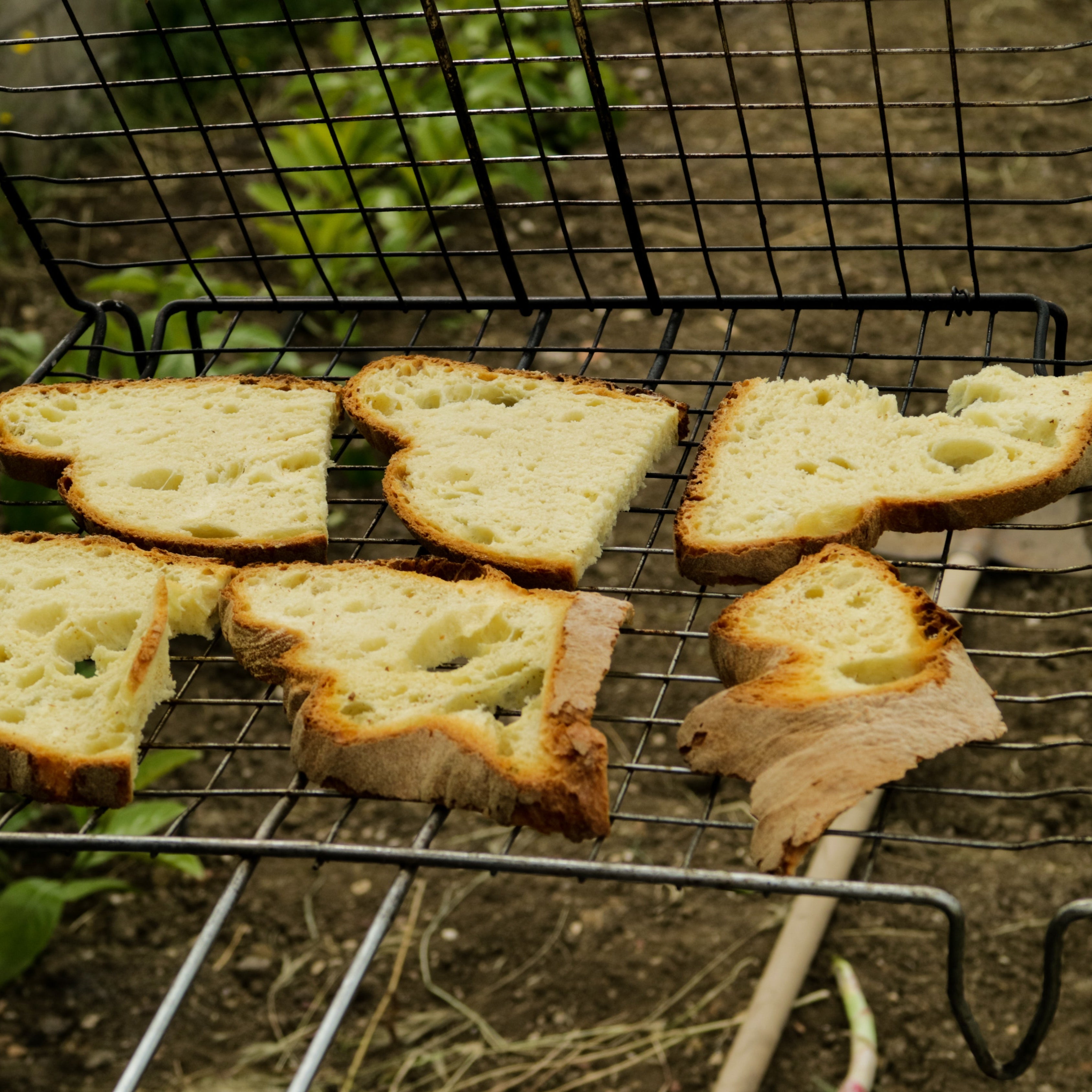 Pane tradizionale di Matera di Semola rimacinata di grano Duro Lucano - 500 g.
